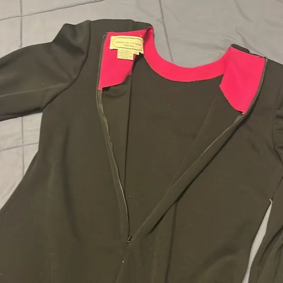 EUC. Adrianne Vittadini wool dress long sleeve. Warm - Picture 10 of 11